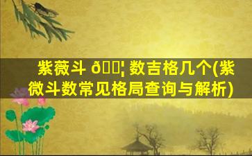 紫薇斗 🐦 数吉格几个(紫微斗数常见格局查询与解析)